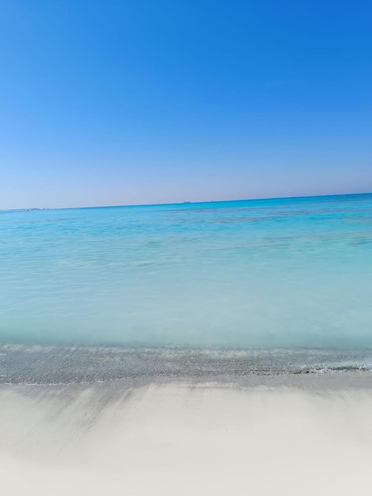 Ruffoli-Home A 300 M Dal Mare Rosignano Solvay Cameră foto